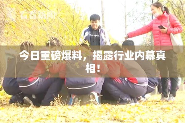 今日重磅爆料，揭露行业内幕真相！