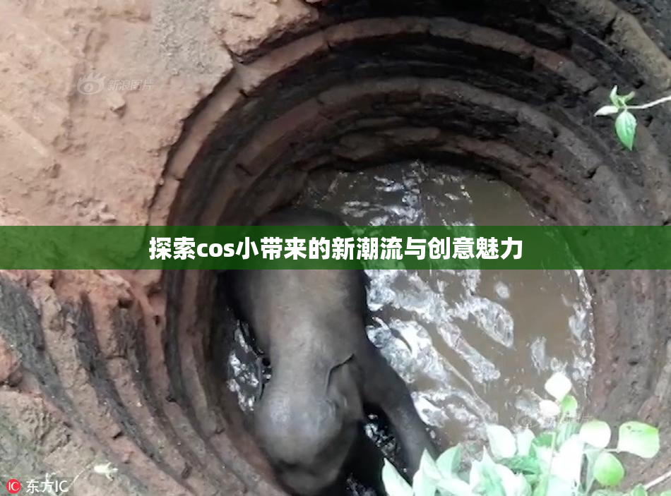 探索cos小带来的新潮流与创意魅力