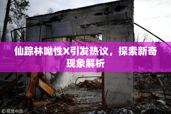 仙踪林呦性X引发热议，探索新奇现象解析