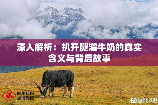 深入解析：扒开腿灌牛奶的真实含义与背后故事