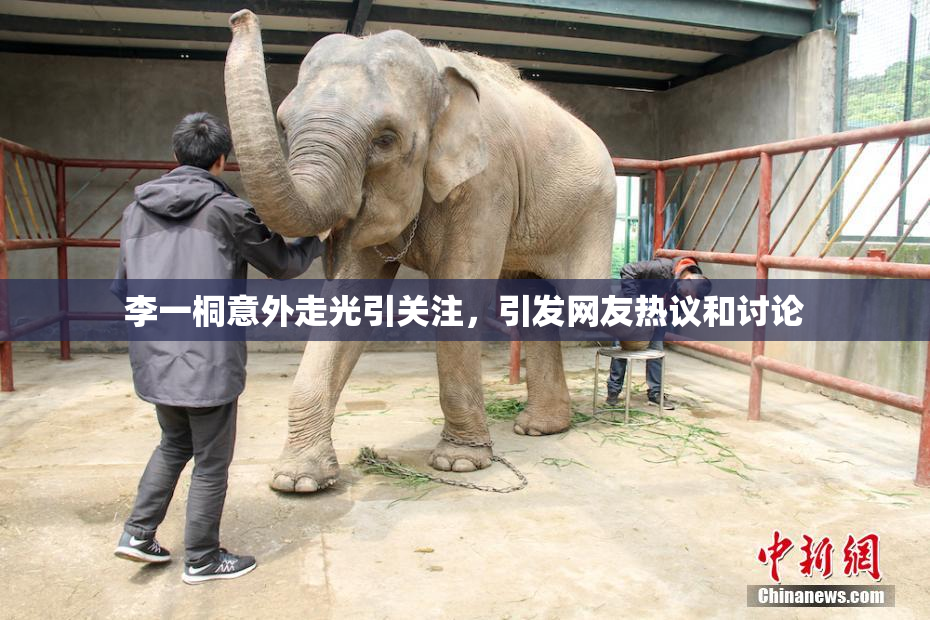 李一桐意外走光引关注，引发网友热议和讨论