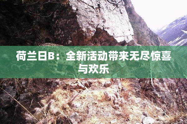 荷兰日B：全新活动带来无尽惊喜与欢乐