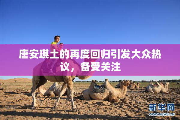 唐安琪土的再度回归引发大众热议，备受关注