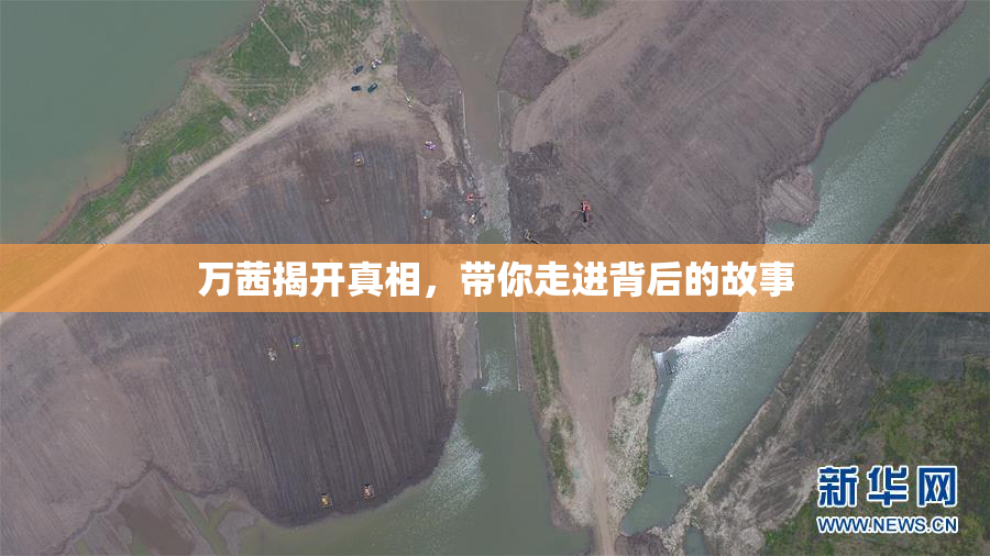 万茜揭开真相，带你走进背后的故事