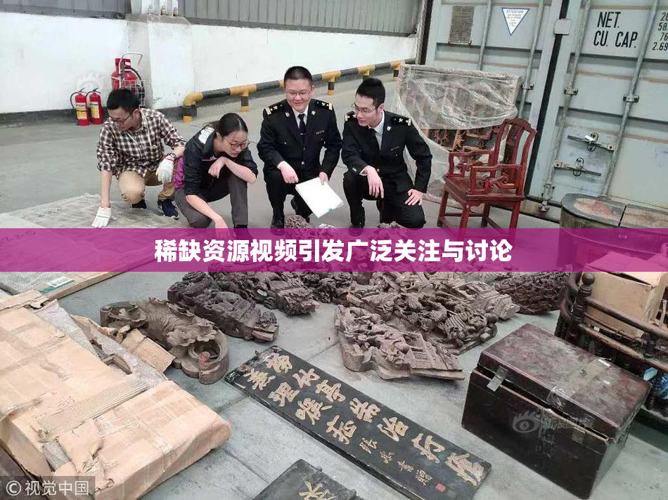 稀缺资源视频引发广泛关注与讨论