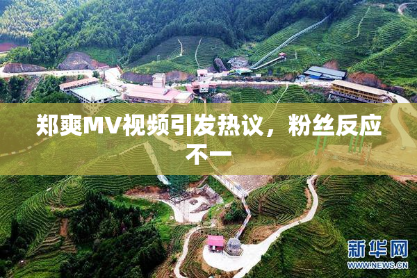 郑爽MV视频引发热议，粉丝反应不一