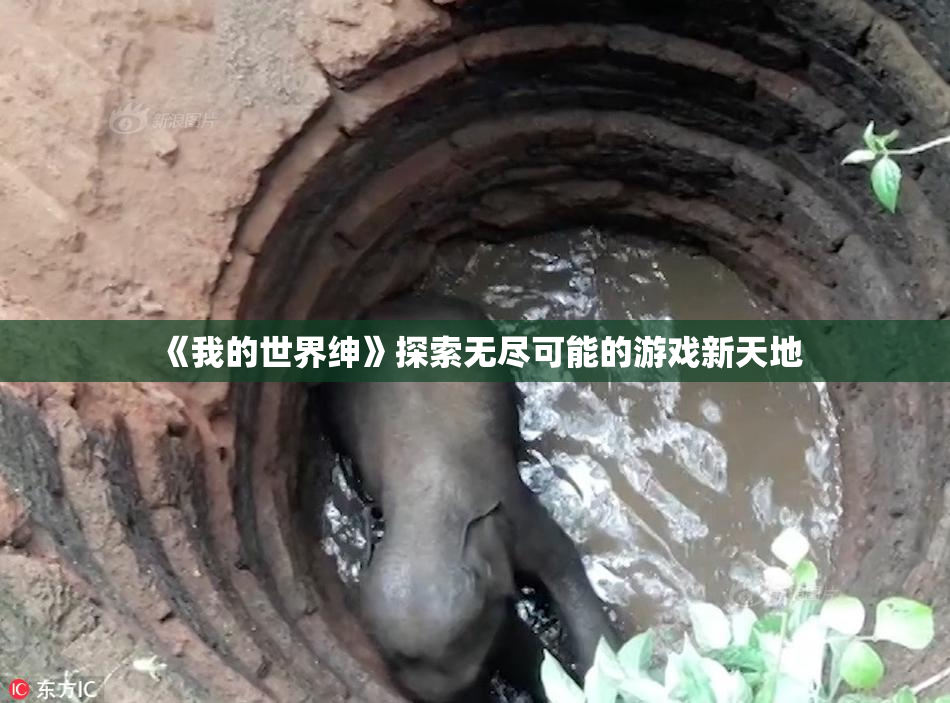《我的世界绅》探索无尽可能的游戏新天地