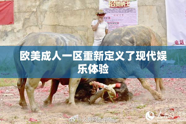 欧美成人一区重新定义了现代娱乐体验