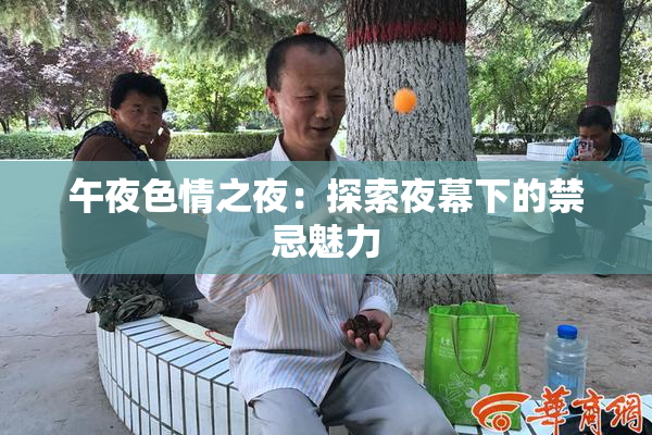 午夜色情之夜：探索夜幕下的禁忌魅力
