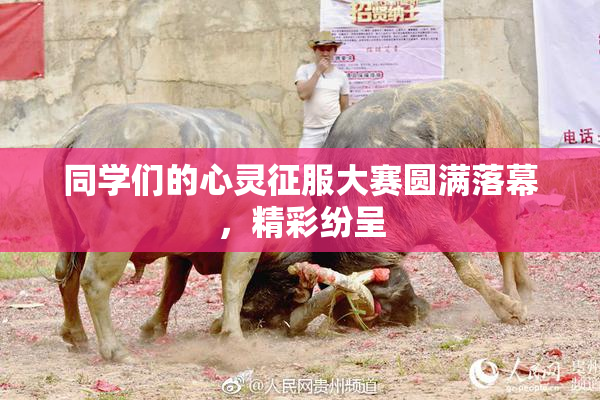 同学们的心灵征服大赛圆满落幕，精彩纷呈