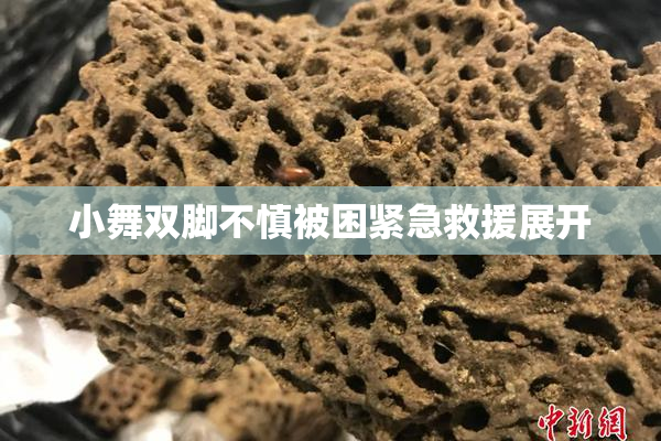 小舞双脚不慎被困紧急救援展开