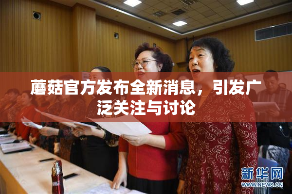 蘑菇官方发布全新消息，引发广泛关注与讨论