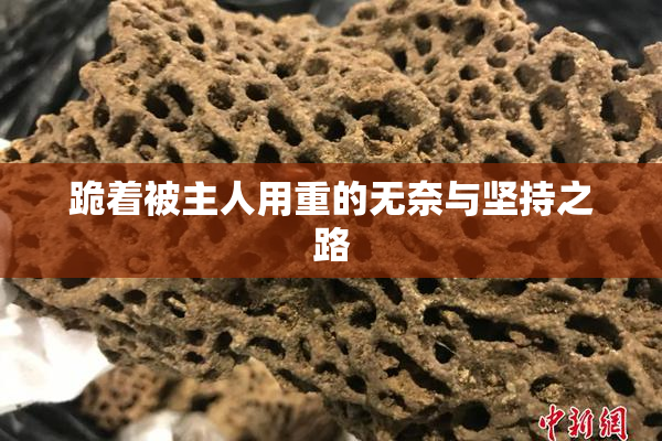 跪着被主人用重的无奈与坚持之路
