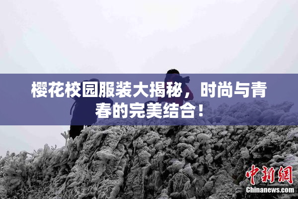 樱花校园服装大揭秘，时尚与青春的完美结合！