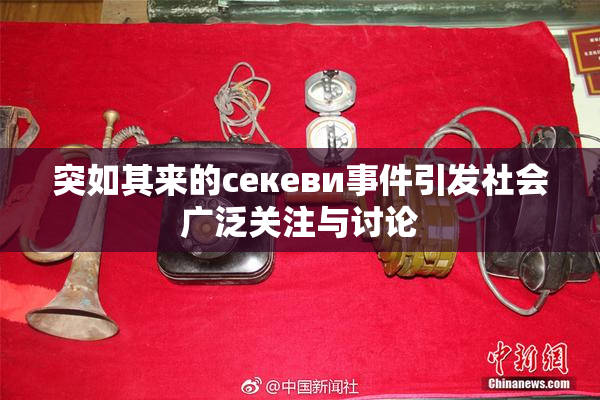 突如其来的ceкеви事件引发社会广泛关注与讨论