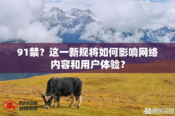 91禁？这一新规将如何影响网络内容和用户体验？
