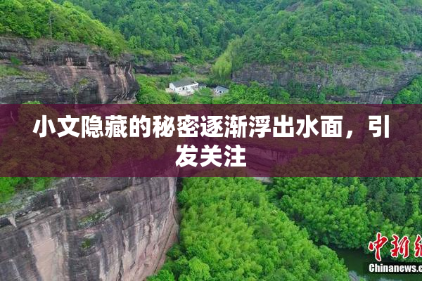小文隐藏的秘密逐渐浮出水面，引发关注
