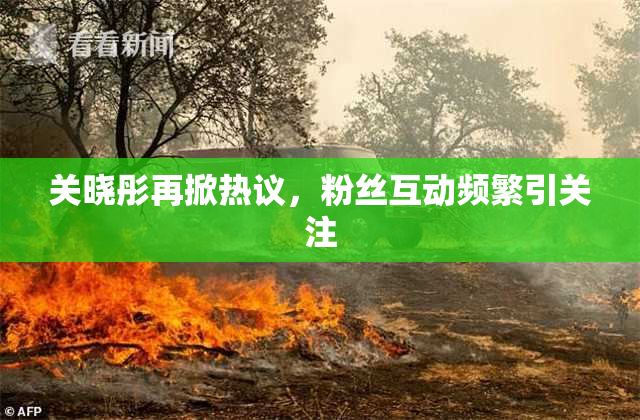 关晓彤再掀热议，粉丝互动频繁引关注