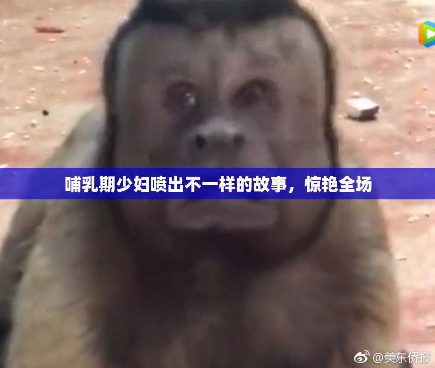 哺乳期少妇喷出不一样的故事，惊艳全场