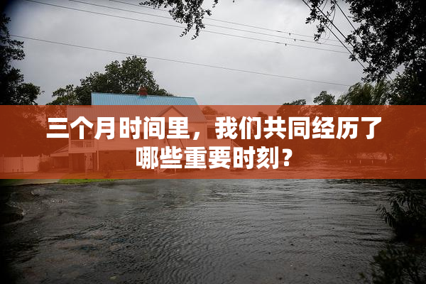 三个月时间里，我们共同经历了哪些重要时刻？
