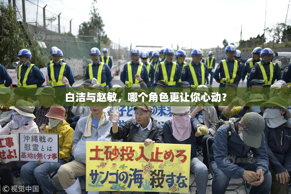 白洁与赵敏，哪个角色更让你心动？