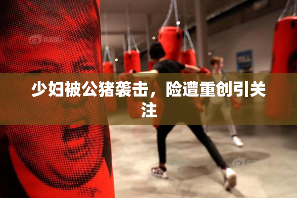 少妇被公猪袭击，险遭重创引关注