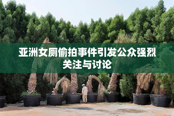 亚洲女厕偷拍事件引发公众强烈关注与讨论