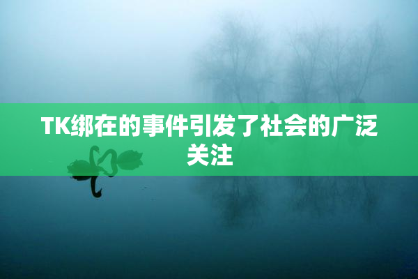 TK绑在的事件引发了社会的广泛关注