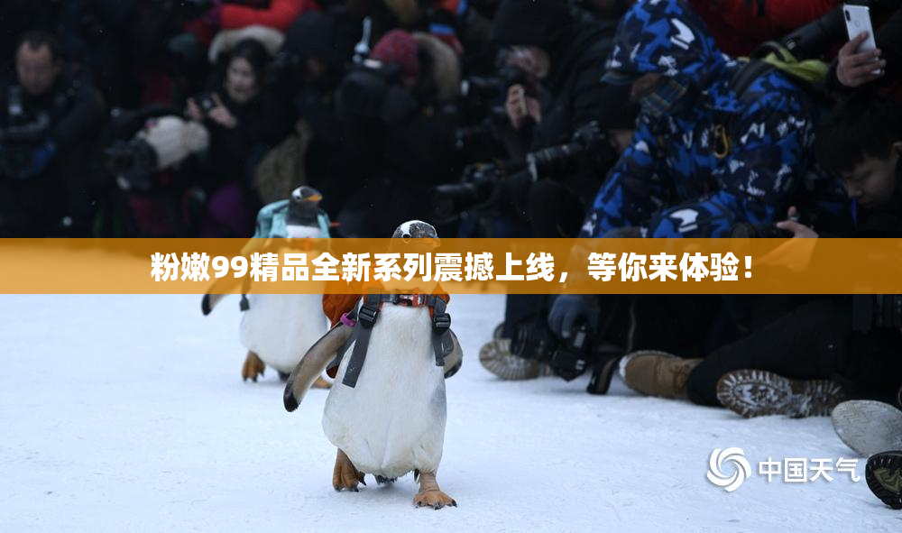 粉嫩99精品全新系列震撼上线，等你来体验！