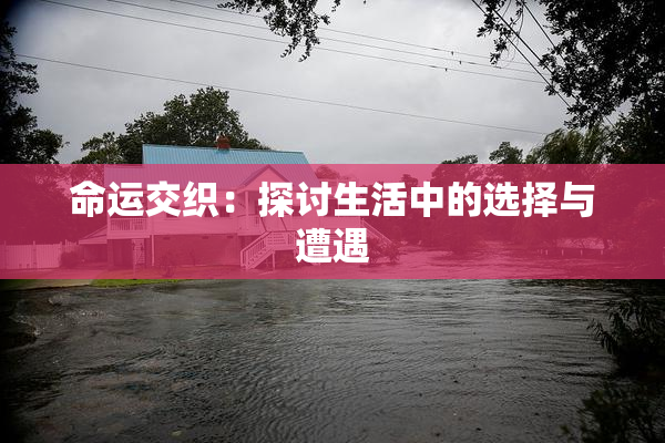 命运交织：探讨生活中的选择与遭遇