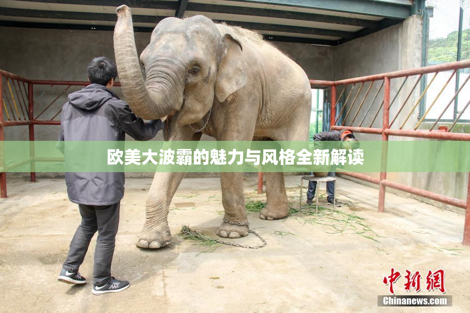 欧美大波霸的魅力与风格全新解读