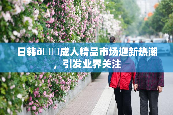 日韩🔞成人精品市场迎新热潮，引发业界关注