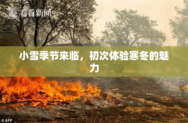 小雪季节来临，初次体验寒冬的魅力