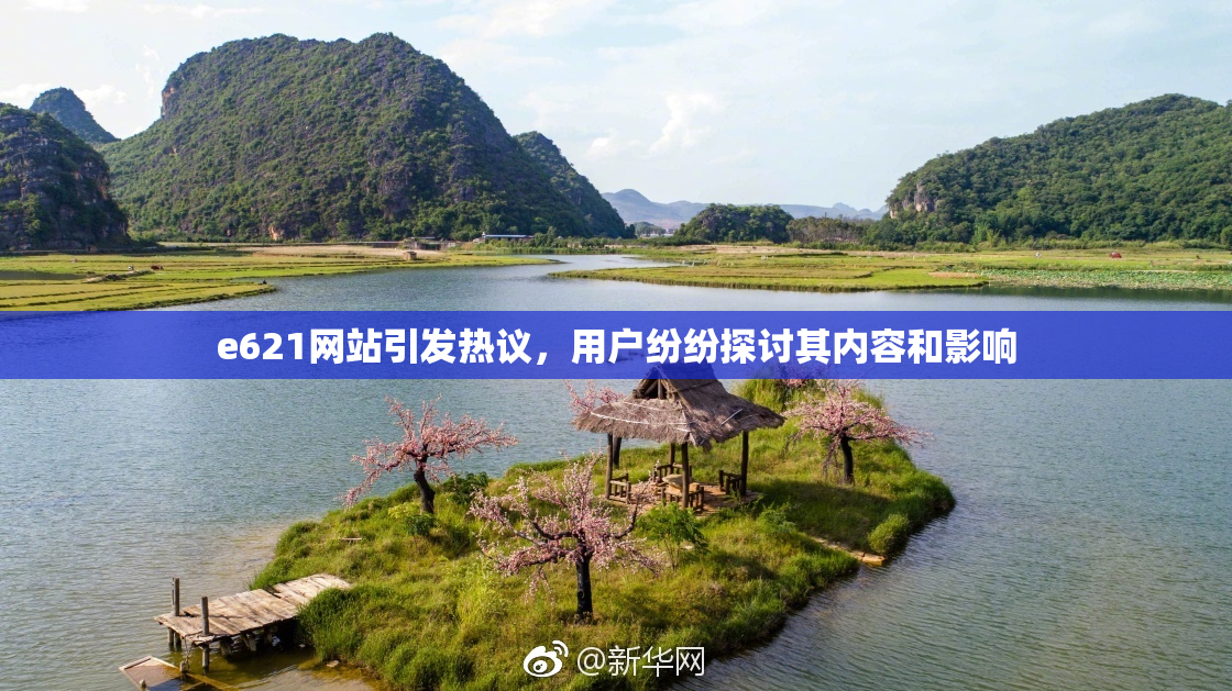 e621网站引发热议，用户纷纷探讨其内容和影响