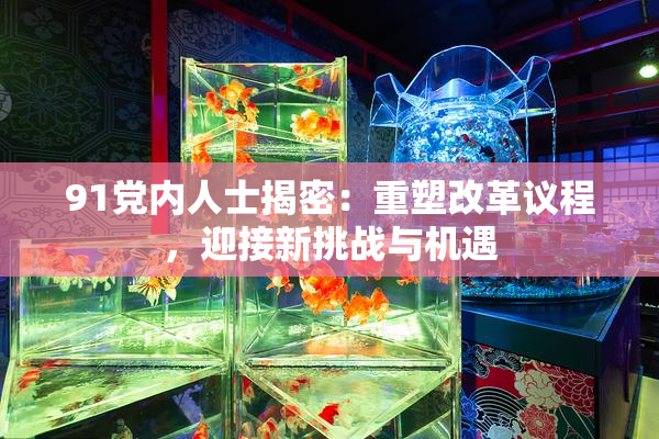 91党内人士揭密：重塑改革议程，迎接新挑战与机遇