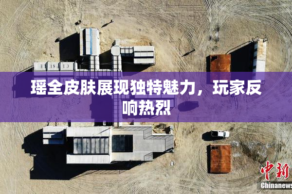 瑶全皮肤展现独特魅力，玩家反响热烈