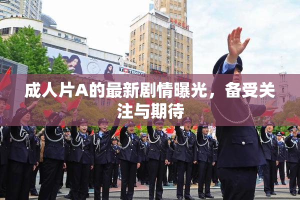 成人片A的最新剧情曝光，备受关注与期待