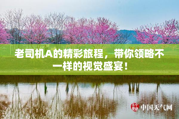 老司机A的精彩旅程，带你领略不一样的视觉盛宴！