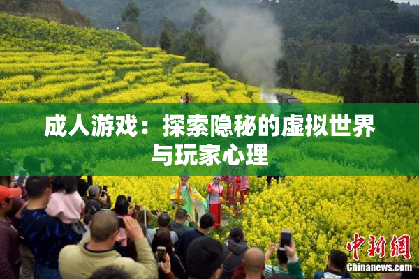 成人游戏：探索隐秘的虚拟世界与玩家心理