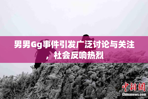 男男Gg事件引发广泛讨论与关注，社会反响热烈