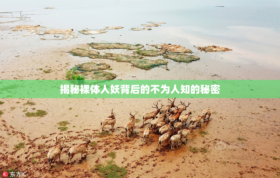 揭秘裸体人妖背后的不为人知的秘密