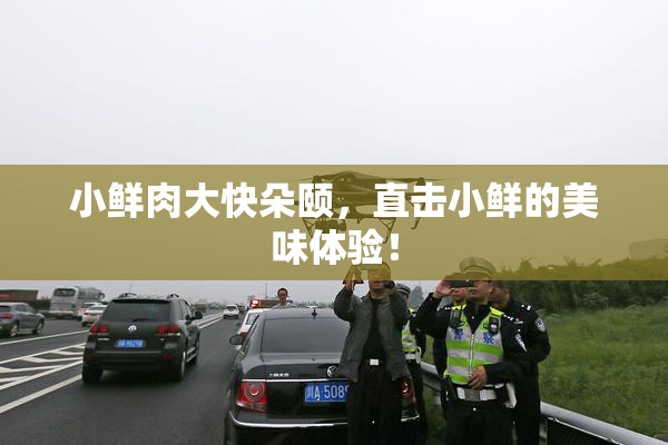 小鲜肉大快朵颐，直击小鲜的美味体验！