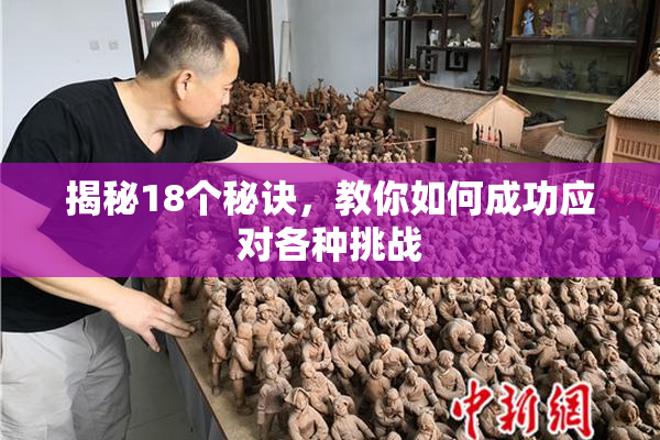 揭秘18个秘诀，教你如何成功应对各种挑战