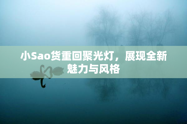 小Sao货重回聚光灯，展现全新魅力与风格