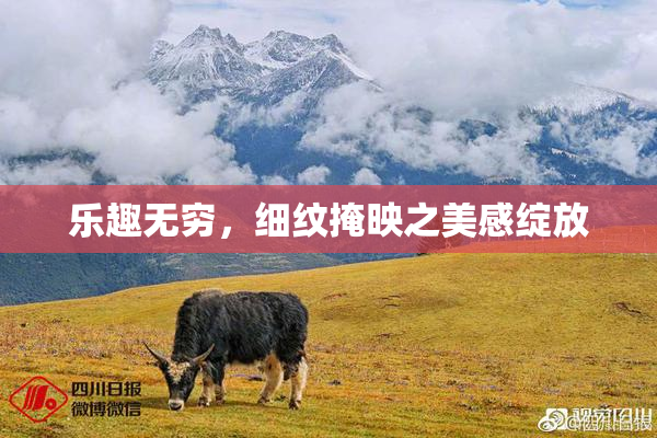 乐趣无穷，细纹掩映之美感绽放