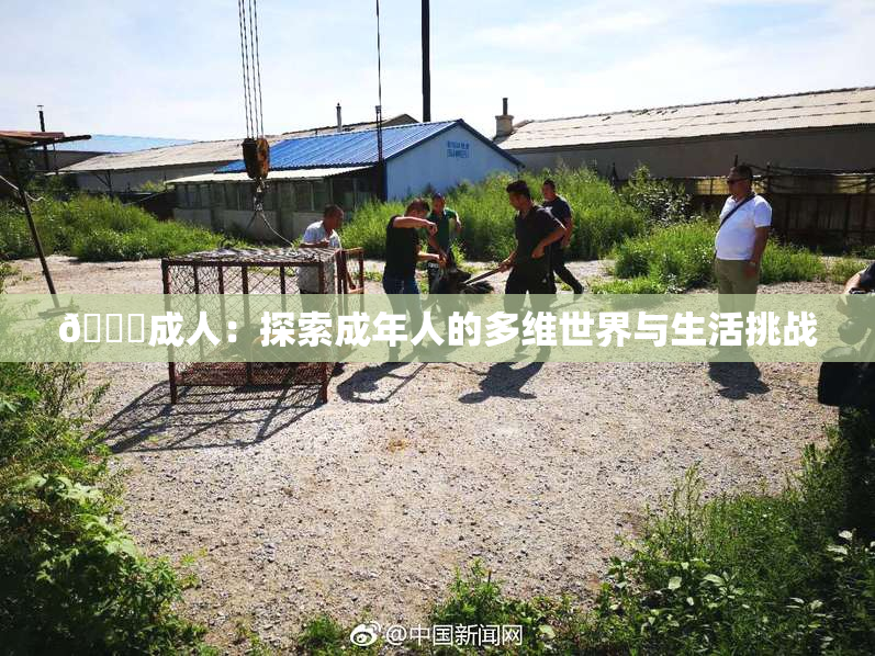🔞成人：探索成年人的多维世界与生活挑战