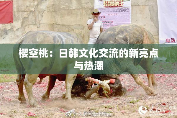 樱空桃：日韩文化交流的新亮点与热潮