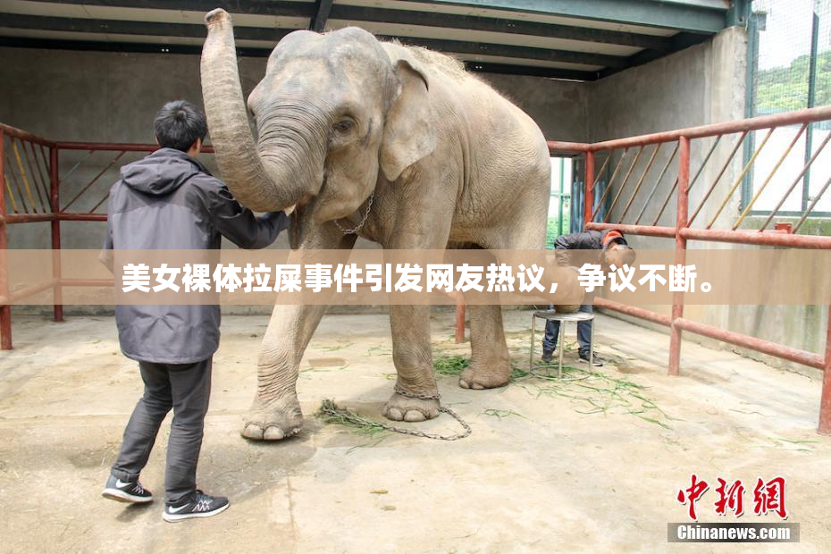 美女裸体拉屎事件引发网友热议，争议不断。