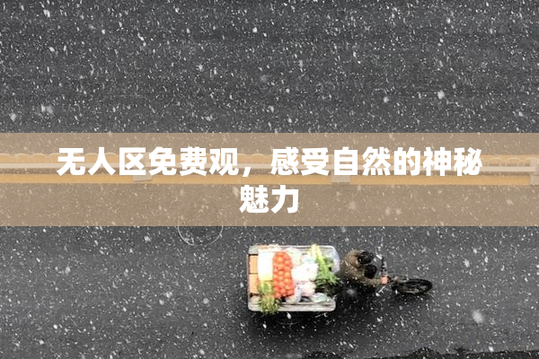 无人区免费观，感受自然的神秘魅力