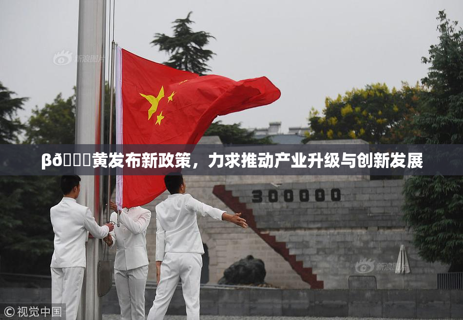 β🔞黄发布新政策，力求推动产业升级与创新发展